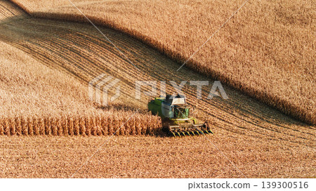Single one vehicle only. Agricultural harvest with combine machines working in a corn field, aerial view Single one vehicle only. Agricultural harvest with combine machines working in a corn field, aerial view 139300516