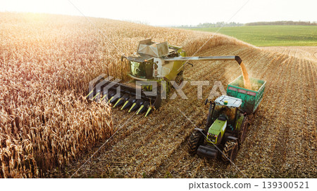 Illuminated by sunlight. Agricultural harvest with combine machines working in a corn field, aerial view Illuminated by sunlight. Agricultural harvest with combine machines working in a corn field, aerial view 139300521