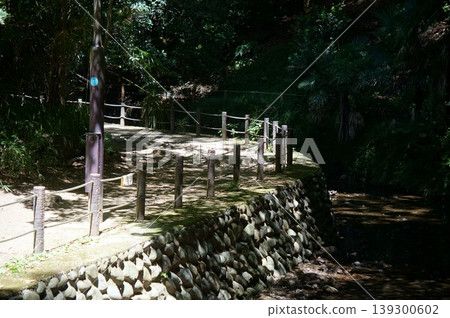 A quiet forest walking path and dirt trail where sunlight filters through the trees. A quiet forest walking path and dirt trail where sunlight filters through the trees. 139300602