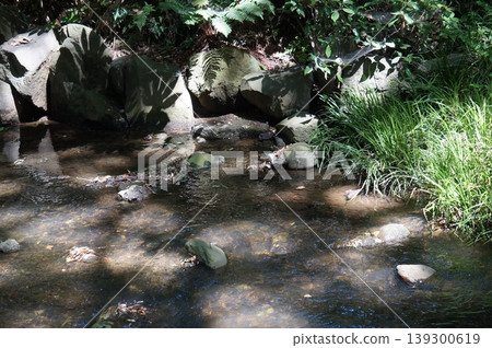 溪水在斑駁的陽光下潺潺流淌,石砌堤岸的景色盡收眼底。 溪水在斑駁的陽光下潺潺流淌,石砌堤岸的景色盡收眼底。 139300619
