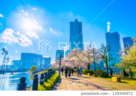 日本橫濱:城市景觀改造…棧道翻新工程竣工。熙熙攘攘的鐵路和索道…新時代開啟,櫻花盛開。 日本橫濱:城市景觀改造…棧道翻新工程竣工。熙熙攘攘的鐵路和索道…新時代開啟,櫻花盛開。 139300972