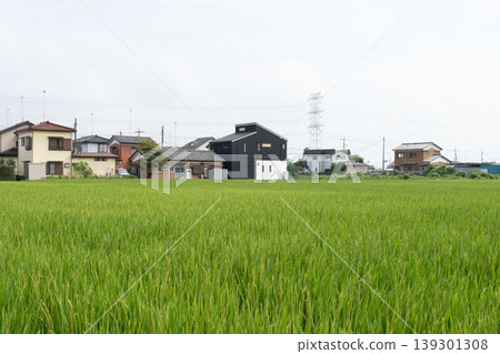 A new Japanese residential area coexisting with the rural landscape. 139301308