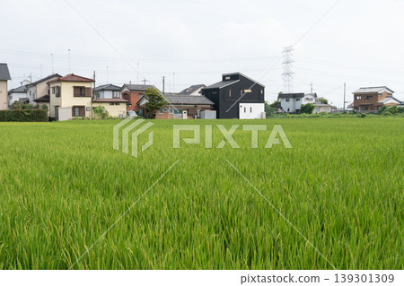 A new Japanese residential area coexisting with the rural landscape. 139301309