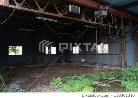 Japanese Industrial Heritage: The Silent Remains of Old Corrugated Iron Factory Sites 139301310