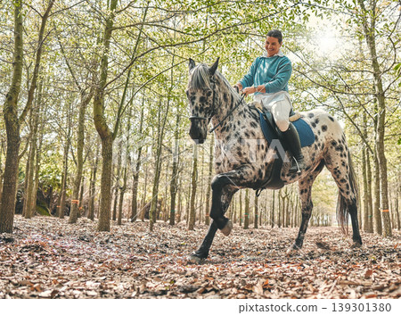 Smile, nature and woman riding a horse in a forest training for a race, competition or event. Adventure, animal and young female person with stallion pet outdoor in the woods for equestrian practice. Smile, nature and woman riding a horse in a forest training for a race, competition or event. Adventure, animal and young female person with stallion pet outdoor in the woods for equestrian practice. 139301380