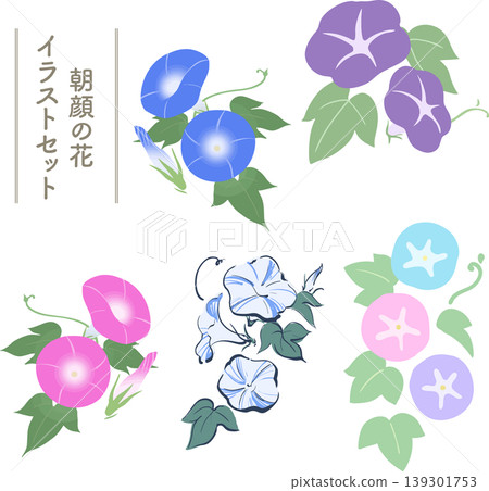 Morning glory flat vector illustration set | Summer Japanese flower material - simple and easy-to-use collection Morning glory flat vector illustration set | Summer Japanese flower material - simple and easy-to-use collection 139301753