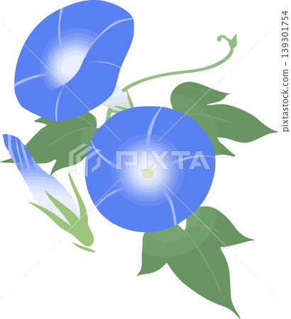 Morning glory vector illustration | Summer Japanese-style flower material - simple and easy-to-use design Morning glory vector illustration | Summer Japanese-style flower material - simple and easy-to-use design 139301754