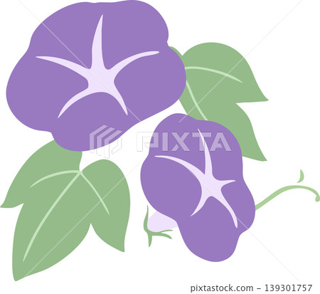 Morning glory vector illustration | Summer Japanese-style flower material - simple and easy-to-use design 139301757