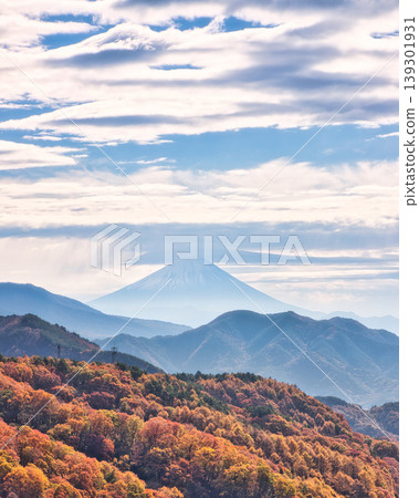 Mountains ablaze with autumn colors and Mount Fuji floating in the distance amidst a sea of clouds. Mountains ablaze with autumn colors and Mount Fuji floating in the distance amidst a sea of clouds. 139301931