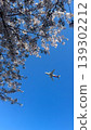 An airplane flying through cherry blossoms in full bloom. 139302212