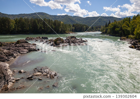 Wide turquoise Katun river flowing around rocky outcrops with dense pine forest Wide turquoise Katun river flowing around rocky outcrops with dense pine forest 139302604
