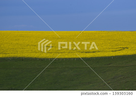 Blue, yellow and green landscape Blue, yellow and green landscape 139303160