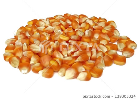 Corn seeds isolated on white background Corn seeds isolated on white background 139303324