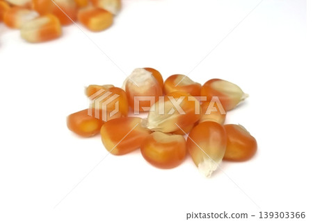Corn seeds isolated on white background Corn seeds isolated on white background 139303366