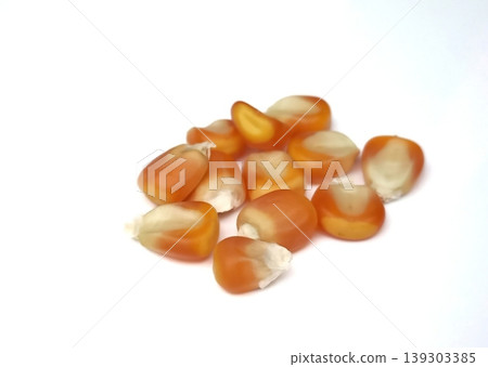 Corn seeds isolated on white background Corn seeds isolated on white background 139303385