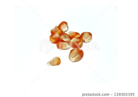 Corn seeds isolated on white background Corn seeds isolated on white background 139303395