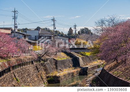靜岡縣掛川市掛川城週邊的掛川櫻花風景 靜岡縣掛川市掛川城週邊的掛川櫻花風景 139303608