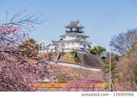 A view of Kakegawa Castle in Kakegawa City and the cherry blossoms blooming along the river (Shizuoka Prefecture) A view of Kakegawa Castle in Kakegawa City and the cherry blossoms blooming along the river (Shizuoka Prefecture) 139304566