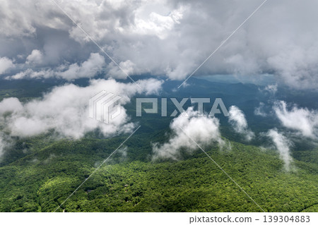 Humid forest in North Carolina Appalachian mountains, USA. American nature in summer rain season 139304883