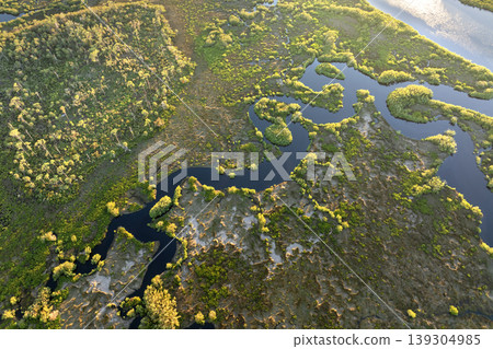 Florida wetlands with river between green wild vegetation. Tropical ecosystem at sunset 139304985
