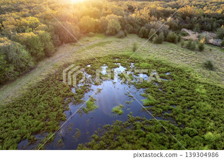 Florida subtropical swamp with wild vegetation in southern USA Florida subtropical swamp with wild vegetation in southern USA 139304986