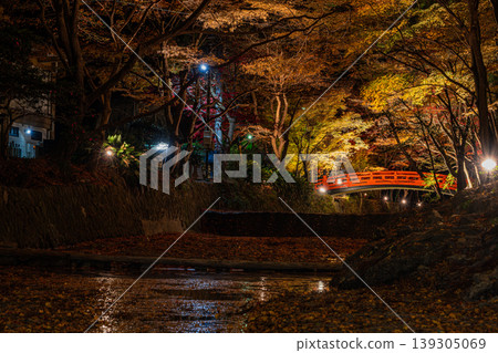 Autumn foliage at Oguni Shrine, Ichinomiya, Totomi Province, Morimachi (Shizuoka Prefecture) Autumn foliage at Oguni Shrine, Ichinomiya, Totomi Province, Morimachi (Shizuoka Prefecture) 139305069