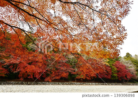 The scenery of the Isuzu River purification area and autumn leaves; the autumn foliage scenery of the Inner Shrine of Ise Grand Shrine; autumn sightseeing spots in Ise-Shima. 139306898