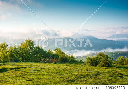 carpathian mountain landscape on a foggy morning. outdoor adventure image for stunning view of meadow in morning light. mountain field and rolling countryside valley 139308523