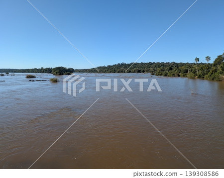 A view of the rushing Iguazu River and palm trees lining its banks at Iguazu National Park and Reserve in Argentina in June A view of the rushing Iguazu River and palm trees lining its banks at Iguazu National Park and Reserve in Argentina in June 139308586