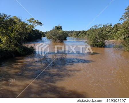 Trees in the flowing waters of the Iguazu River in Iguazu National Park and Reserve in Argentina 139308597