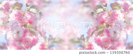 Sakura blossom, flowers blooming in spring garden, floral banner background with cherry bloom. Sakura blossom, flowers blooming in spring garden, floral banner background with cherry bloom. 139308760