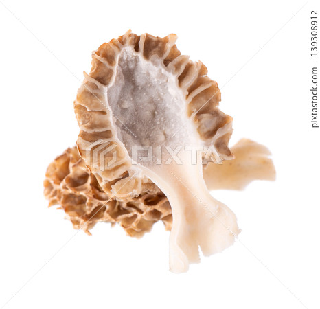 Morel mushroom isolated on white background. Morchella esculenta. Spring edible fungi. Clipping path. Morel mushroom isolated on white background. Morchella esculenta. Spring edible fungi. Clipping path. 139308912