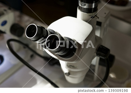 Close up of a scientific binocular microscope in use, highlighting precision microscopy and detailed sample examination. 139309198