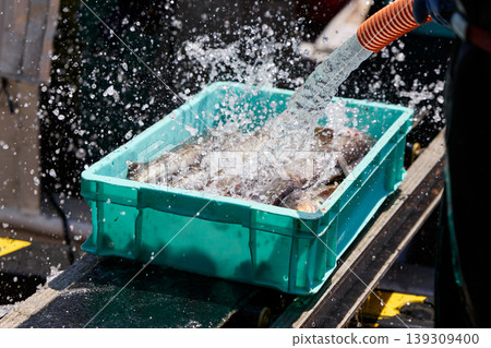 Landed fish Landed fish 139309400