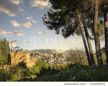 Alhambra And Granada Landscape At Sunset Framed By Pine Trees Over Flowered Garden Alhambra And Granada Landscape At Sunset Framed By Pine Trees Over Flowered Garden 139309501