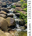 Small Waterfall Stream Over Rocks with Green Plants in Natural Garden Landscape Peaceful Flowing Water Nature Background 139311743