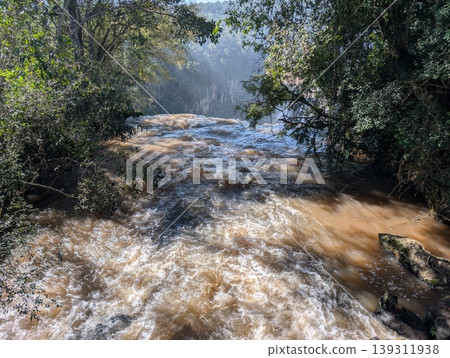 A close-up of the rushing river after Iguazu Falls in Iguazu National Park and Reserve in Argentina in June 139311938