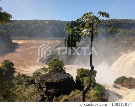 Aerial view of the water and rocks at Devil's Throat Falls in Iguazu National Park and Reserve in Argentina in June 139311954