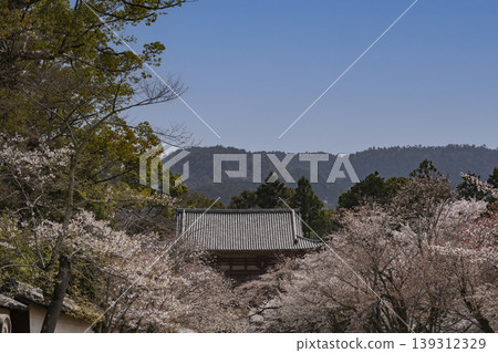 A mountain temple surrounded by mountains in bloom with cherry blossoms. 139312329