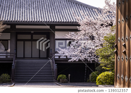 櫻花風景 櫻花風景 139312357