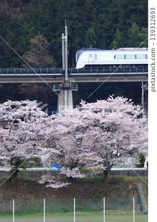 清晨，一列E353系列列車行駛在中央東線上，下方盛開的櫻花為其送行。 （攝於2026年4月11日） 139312693