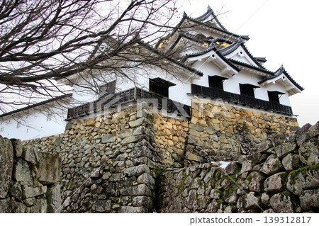 彥根城是國寶,也是彥根八景和琵琶湖八景之一。 彥根城是國寶,也是彥根八景和琵琶湖八景之一。 139312817