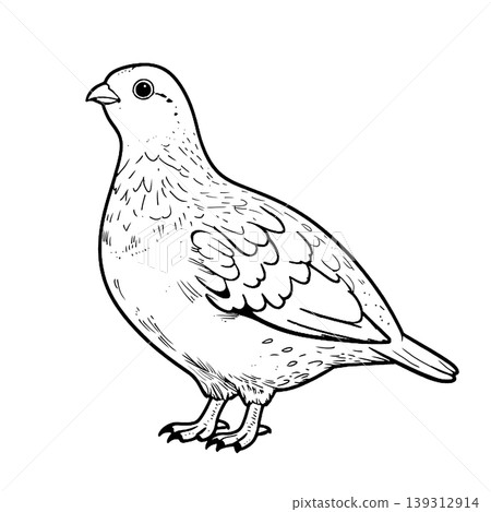 一隻側身的鳥 一隻側身的鳥 139312914