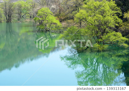 Lake Kinshu, a beautiful mirror reflecting the fresh greenery of spring, and its submerged forest, Iwate Prefecture. Lake Kinshu, a beautiful mirror reflecting the fresh greenery of spring, and its submerged forest, Iwate Prefecture. 139313167
