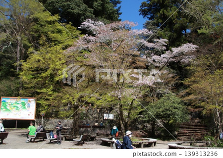 Mt. Takao Omotesando trailhead Mt. Takao Omotesando trailhead 139313236