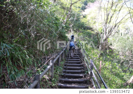 Mt. Takao Inariyama Course 139313472