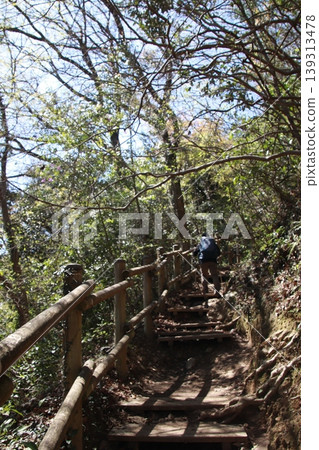 Mt. Takao Inariyama Course 139313478