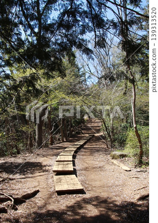 Mt. Takao Inariyama Course Mt. Takao Inariyama Course 139313520