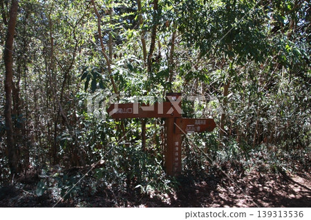 高尾稻荷山課程 高尾稻荷山課程 139313536