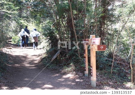 Mt. Takao Inariyama Course 139313537